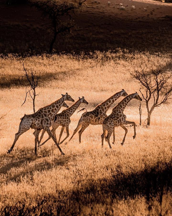 Bagatelle Kalahari Game Ranch Villa Hardap Luaran gambar