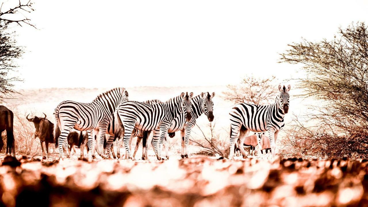 Bagatelle Kalahari Game Ranch Villa Hardap Luaran gambar
