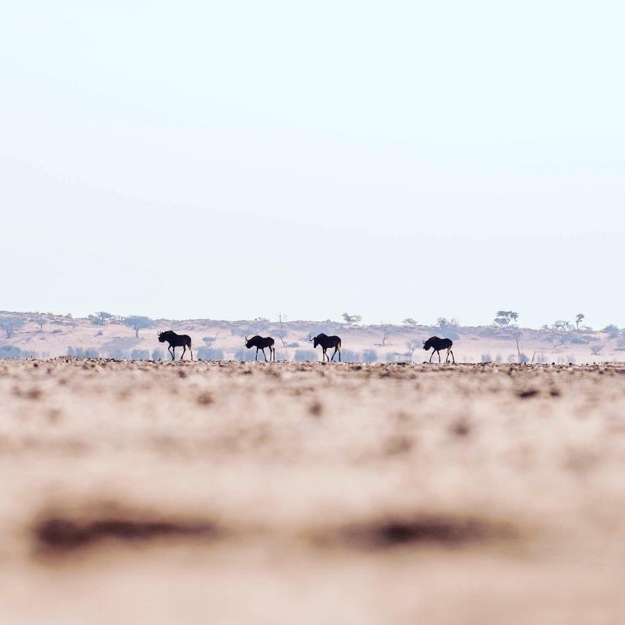 Bagatelle Kalahari Game Ranch Villa Hardap Luaran gambar