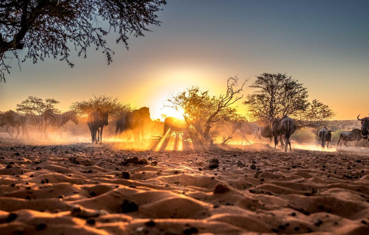Bagatelle Kalahari Game Ranch Villa Hardap Luaran gambar