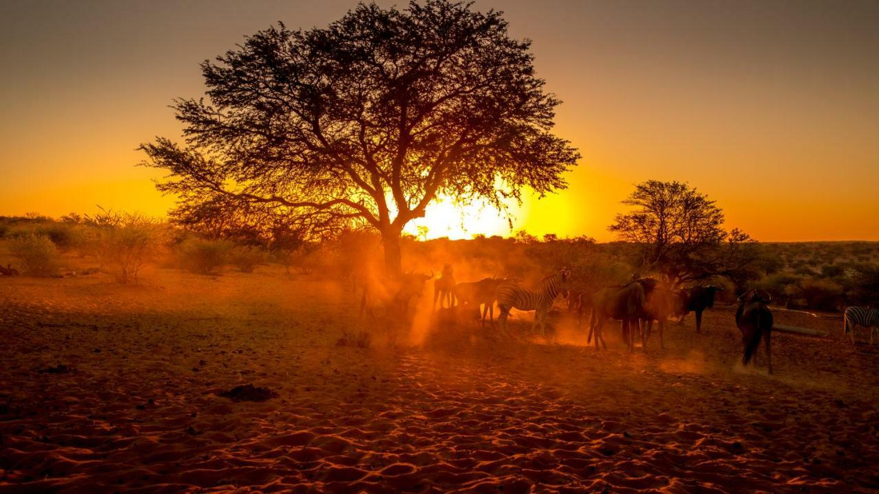 Bagatelle Kalahari Game Ranch Villa Hardap Luaran gambar