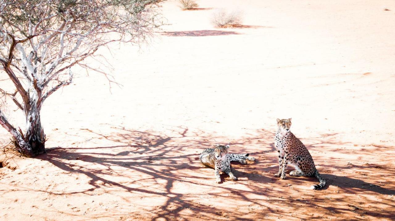 Bagatelle Kalahari Game Ranch Villa Hardap Luaran gambar